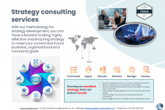 Developing a Business Strategy